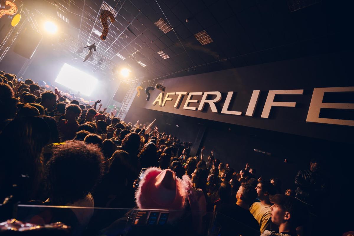 L1280385 Migliorato Nr